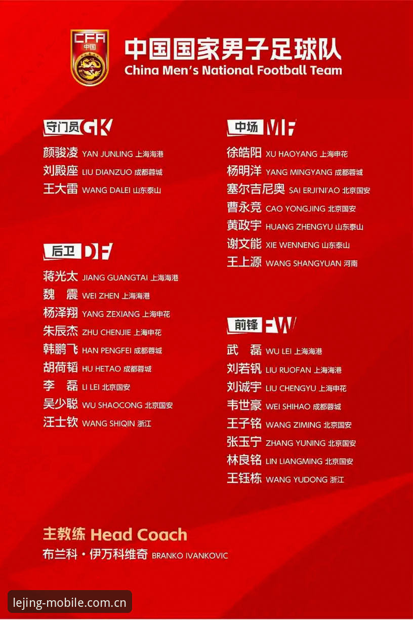 中国足协第三批禁足名单深度解读：终身禁赛17人，5年禁赛48人完整指南